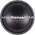 Pioneer TS-W3003D4